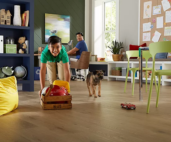 Pet friendly flooring | Leicester Flooring