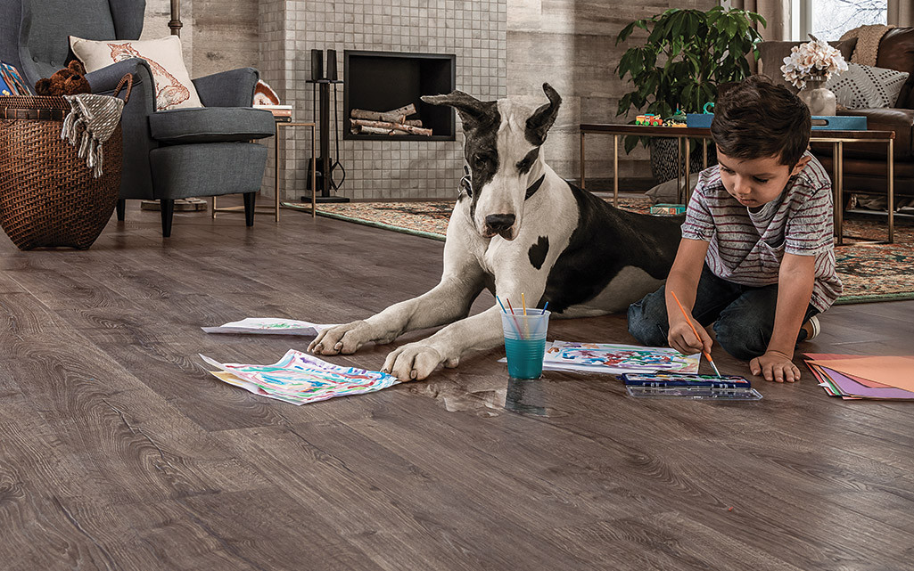 Best Waterproof Laminate Flooring for Dogs