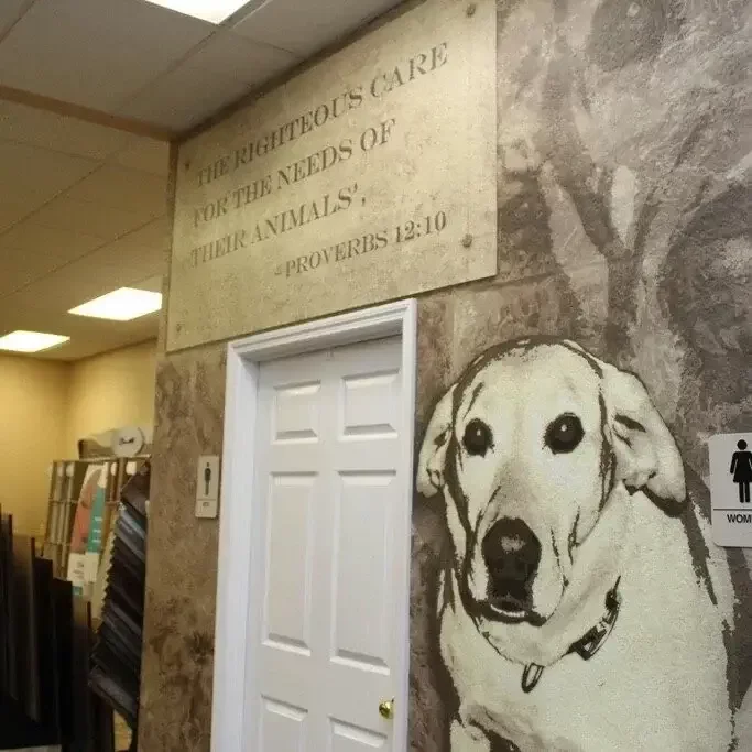 leiccester_petValue-square-square